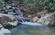 Chácara gratidão a Deus - Photo 12