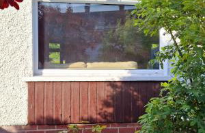 Beautiful home with garden great location - Foto 33