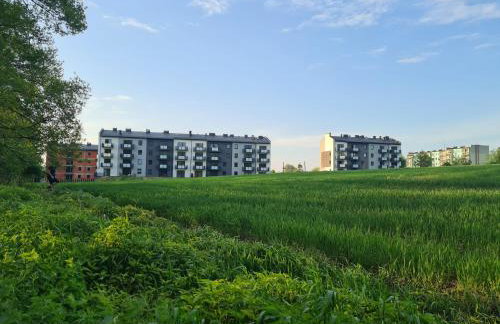 Złota Widokówka - Foto 38