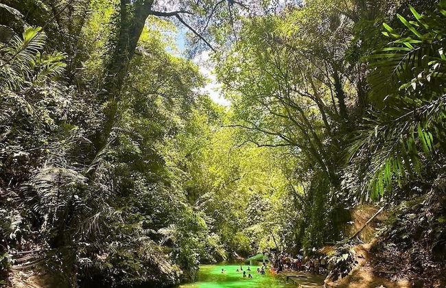 Ayong's Adventure Park - Photo 12