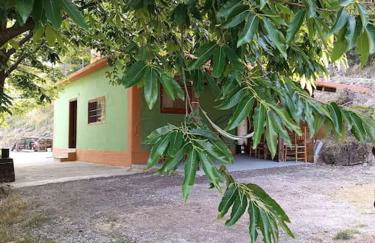 Manganiari Springs Cabin Retreat - Photo 10