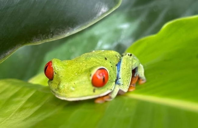 Cabañas Litos - Photo 61