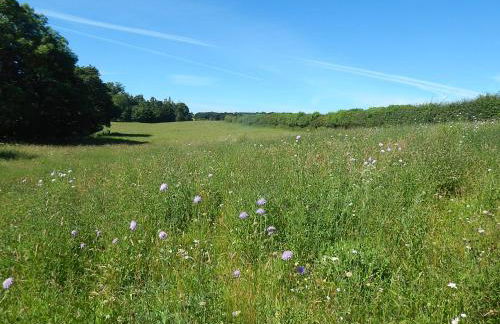 Eden Hideaway - Foto 19