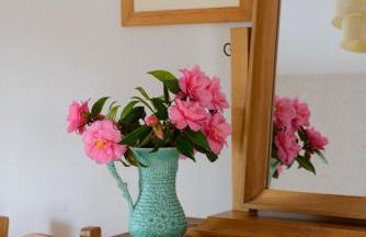 Grove Fort Self Catering Farmhouse - Foto 25