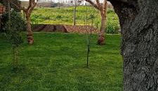 Appartamento Venturina Terme - Foto 3