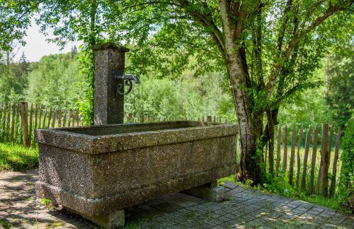 Ferienhaus Allgäuperle - Photo 27