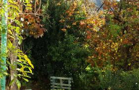 El Retiro de Isabel - Foto 41