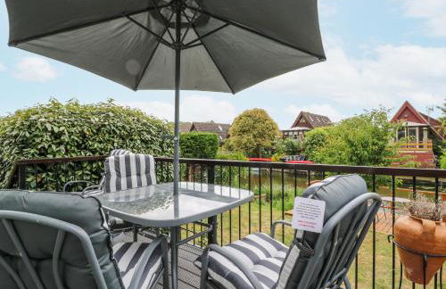 Kingfisher - Photo 30