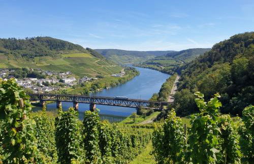 Ferienwohnungen Bullay - Foto 75