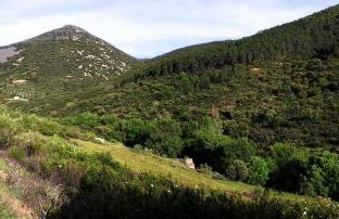 Casa Rural Miel y Romero - Foto 40