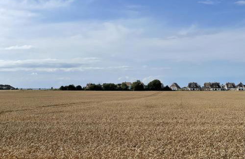 Ferienhaus "Rugard" in Dranske - Foto 16