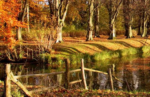 Ferienhaus Ostseewind - ABC583 - Foto 21