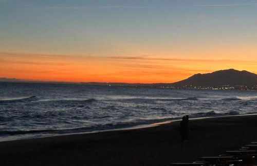 Fancy duplex penthouse in Carib Playa Cabopino - Photo 36