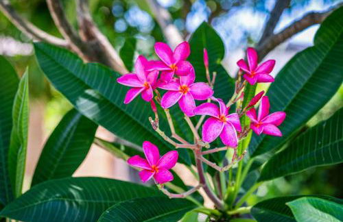 Beachside Escape Poolhouse w Game Room, Grill - Foto 45