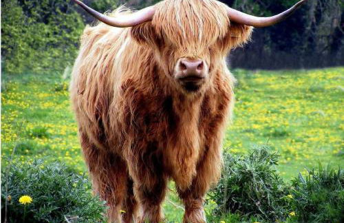 River Edge Lodges - Foto 35