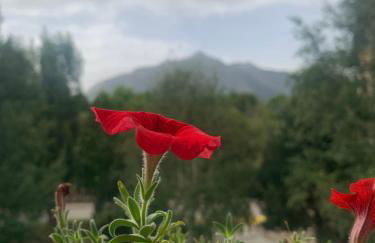 Allotjament SV - Foto 16