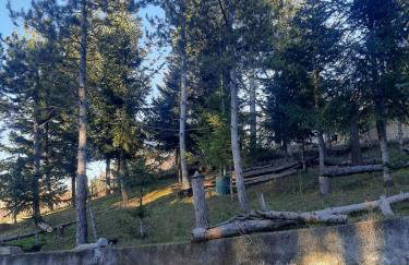 Country destination in mountainous Trikala! - Photo 4