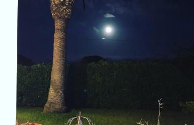 Le tre Palme - Foto 44