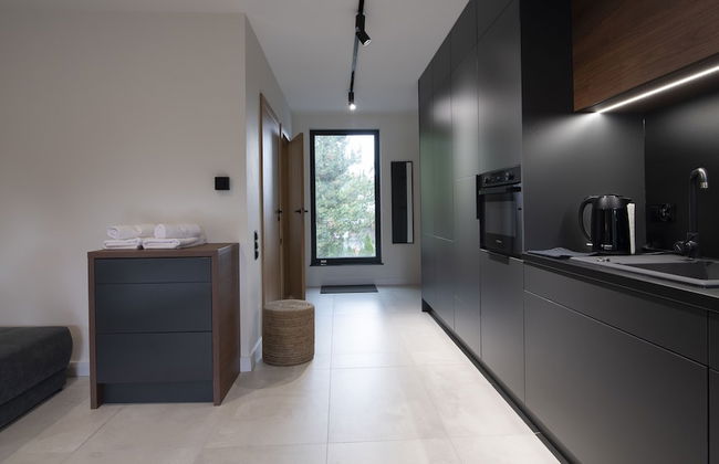 Apartamenty Sun & Snow Kalinowa - Foto 44