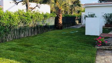 Villa sul mare Rosa Marina - Foto 2