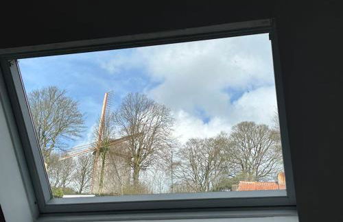 Gite La Maison d'Amalia - Foto 13