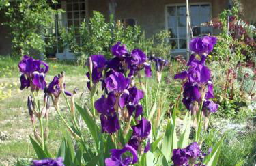 Domaine La Fontaine Du Cade - Foto 35