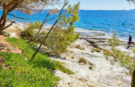 Apartments Mijo - Photo 10