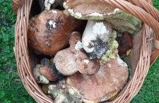 Domek z widokiem na jezioro Rożnowskie - Foto 28