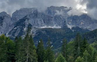 Mountain Apartment Rododendro - Foto 62