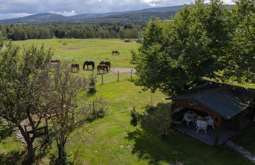 Osada Jeździecka Bata - Photo 24