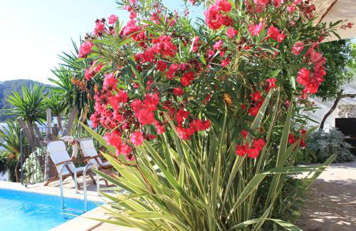 Can Pardal - Foto 31