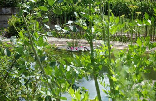 Panorama-Domizil Tauchershof - Foto 28