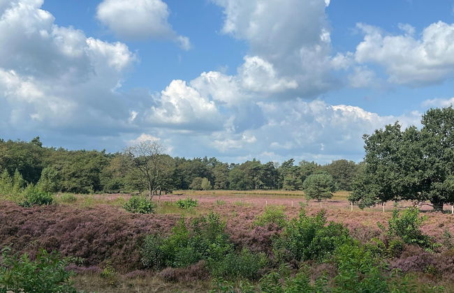 Cozy Holiday Home in a Lovely Environment - Photo 36