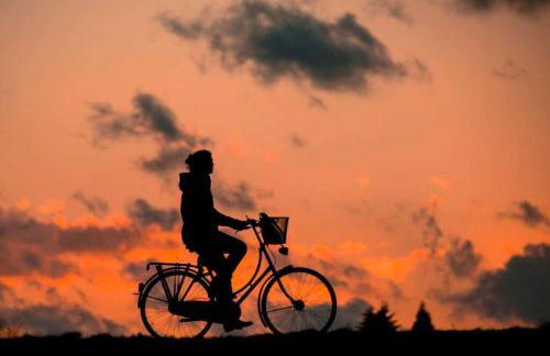 Main House - 3 Story 5 Bed 3 Bath Private Deck Courtyard Pet Friendly fee applies - Photo 51