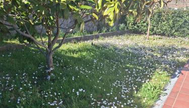 Annina house - Foto 2