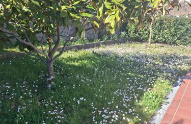 Annina house - Foto 2