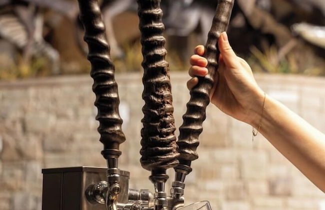 Champion Ranch - Foto 4