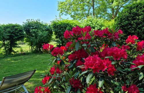 Ferienhaus Vogelsbergblick, Fernblick, Sauna, Kamin, 1700m eingezäunt in Alleinlage - Foto 75
