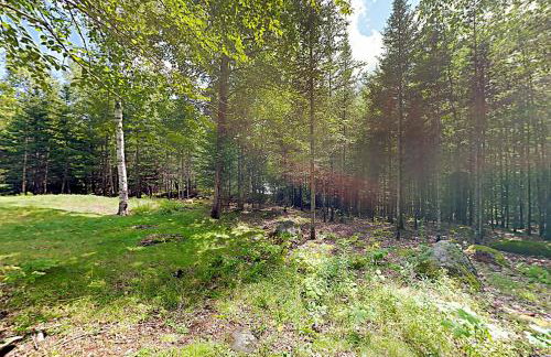 The Lazy Lumberjack Cottages - Photo 28