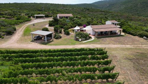 Villamarina Garden Relais - Foto 4, Garden, Garden view