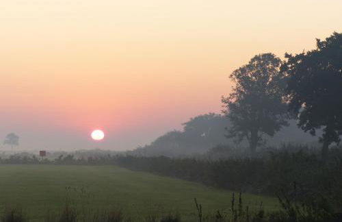 Landhaus Löwenzahn - Foto 34