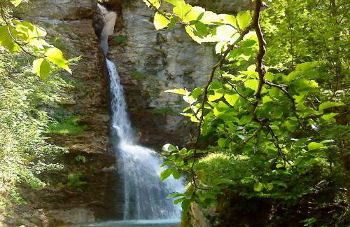 Top! Wohnung direkt am Fuß der Berge im Oberallgäu - Foto 21