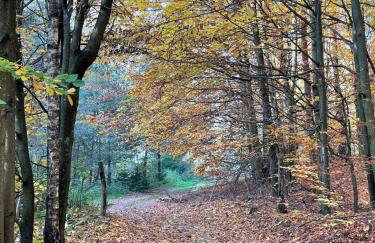 Ptasi Zakątek - Foto 36
