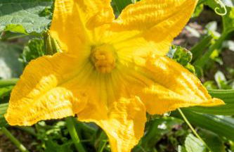 Agriturismo La Collina - Foto 48