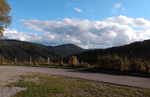 Lavender Hill - Foto 19