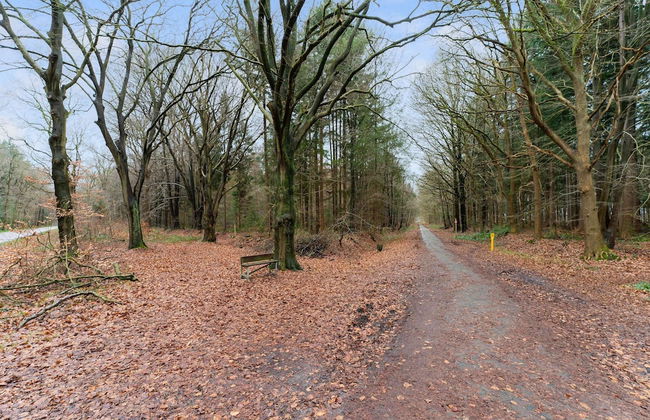 Forest House in Norg With Private Sauna - Photo 31
