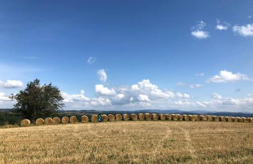 Grudza83 Bikepoint - Foto 18