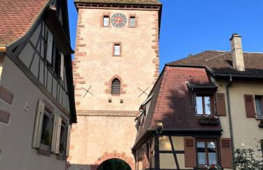 Au pied des vignes - Foto 35