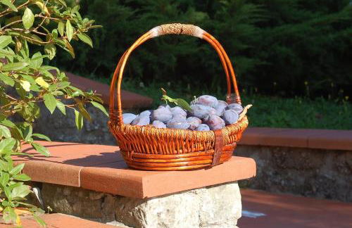 Villa Diana - Foto 18