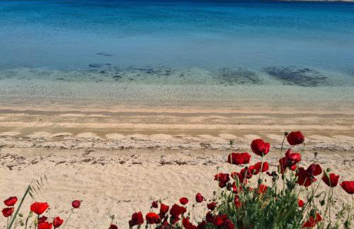 Apartments Simurina - Foto 7